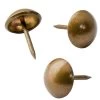 Upholstery Nails -Best Tool Shop 46644 01 1000