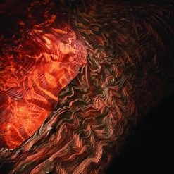 Odie's Wood Butter, 9 Oz. -Best Tool Shop 51237 03 1000