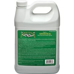 General Finishes Arm-R-Seal Urethane Top Coat, Gloss