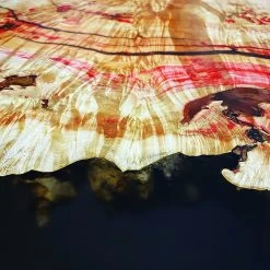 Odie's Oil, 9 Oz. -Best Tool Shop 56561 06 1000