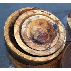 Woodcut Tools Bowlsaver Max4 Bowl Coring System -Best Tool Shop 79825 15 1000